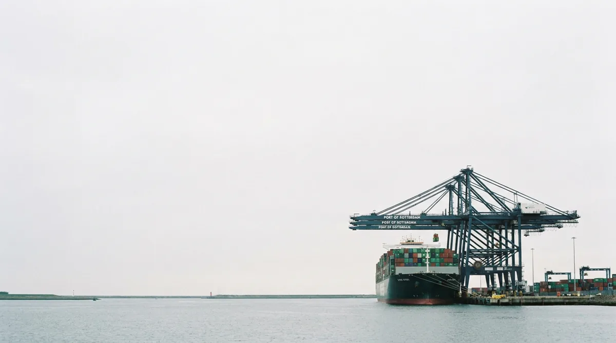 Container port terminal with ship-to-shore cranes